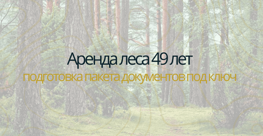 Аренда леса на 49 лет в Королёве